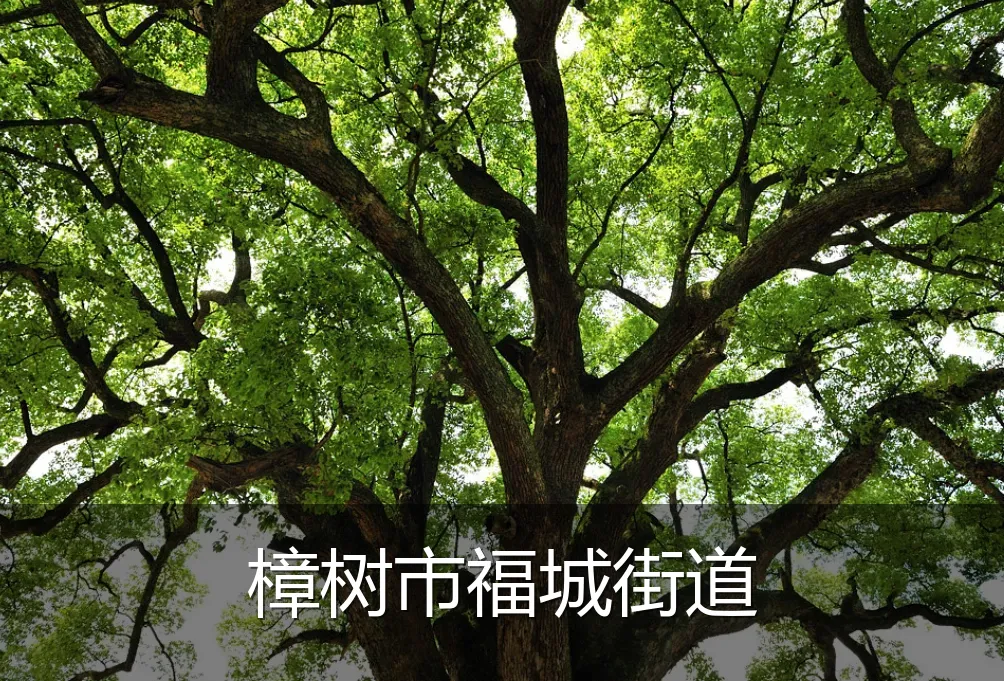 樟树市福城街道